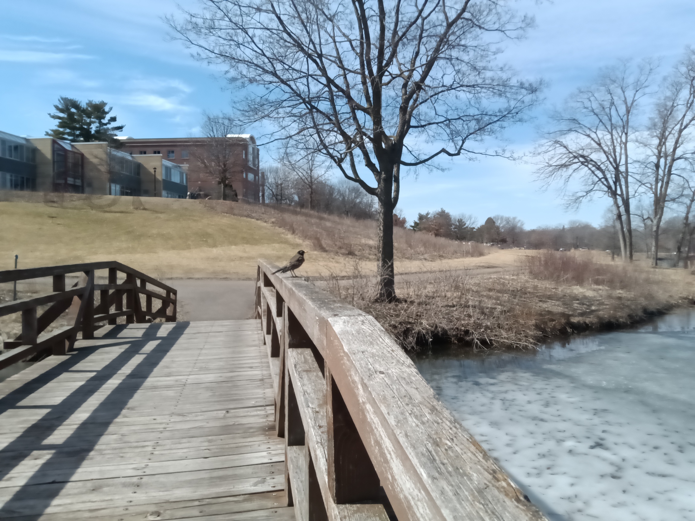 Mantras for mud puddles.